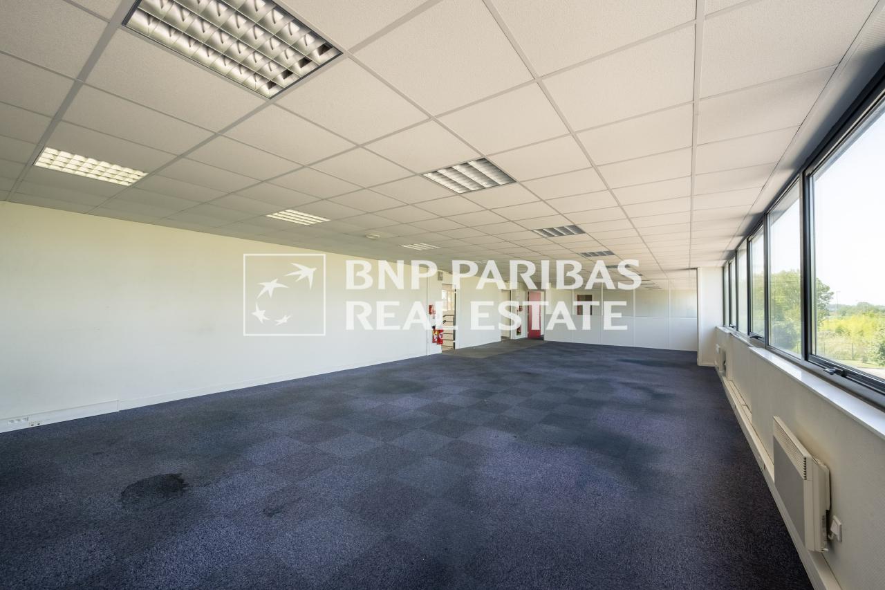 Local d'activité Élancourt 534m² Location local d'activité Élancourt Yvelines OLACT2318123 10
